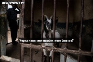 През януари 2009 г. в Нигерия група пазачи притискат автокрадец в тесен коридор. Вместо да се предаде обаче, мъжът прошепва заклинание и се превръща в черно-бяла коза... пред очите им. Вместо да се откажат, пазачите я завличат в полицията, където органите на реда чинно я затварят в килията и обявяват, че чакат „научно доказателство“ за трансформацията. Разберете как едно дълбоко суеверие превърна обикновена Mazda 323 в световна сензация и защо държавният закон се преклони пред магията.