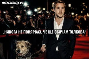 Преди червените килими и Оскарите, Райън Гослинг влиза в приют в Лос Анджелис и подминава перфектните кученца, за да избере Джордж – рошав аутсайдер с нагъл поглед. В продължение на 17 години това бездомно куче придружава звездата на всяка снимачна площадка, оставайки брутално отегчено от филмовата магия, но превръщайки се в неговата най-голяма котка в хаоса. Когато Джордж си отива, Гослинг споделя сурова скръб, която разплака милиони.