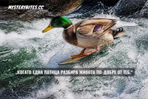 „Когато една патица разбира живота по-добре от теб.“