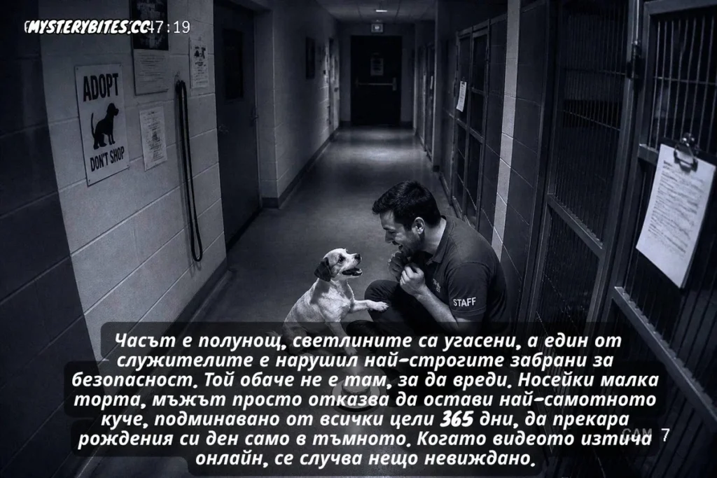 Камерите го уловиха посред нощ в празната клетка. Шефовете му веднага поискаха уволнение...